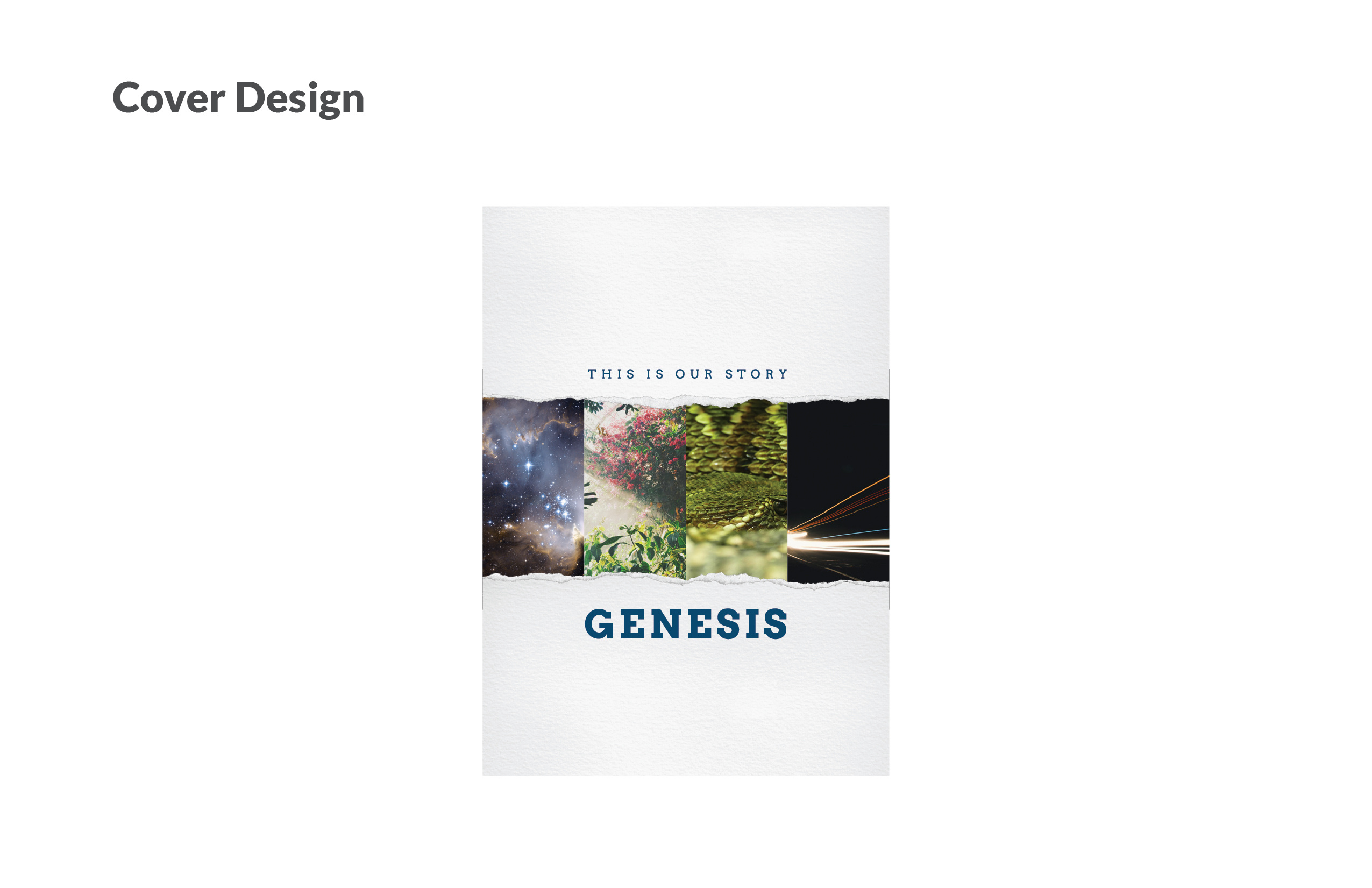 Curriculum Style Guide