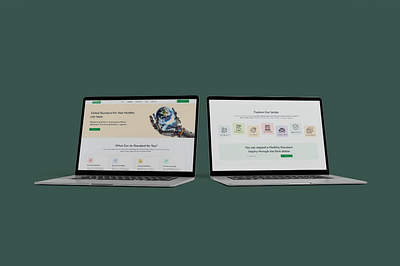 Health Standard Website figma graphic design ui