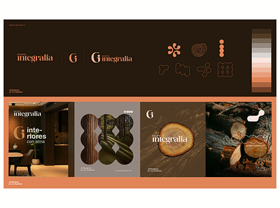 brand identity - integralia brand brand identity branding design elements graphic design graphics illustration logo typography ux vector