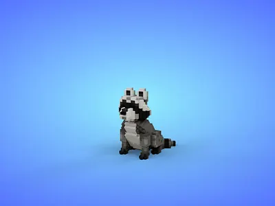 Voxel Forest Animals Pack - Raccoon - Game Asset 3d 3d model animal animals animated cartoon fantasy game asset gamedev lowpoly magicavoxel raccoon voxedit voxel voxel art voxels