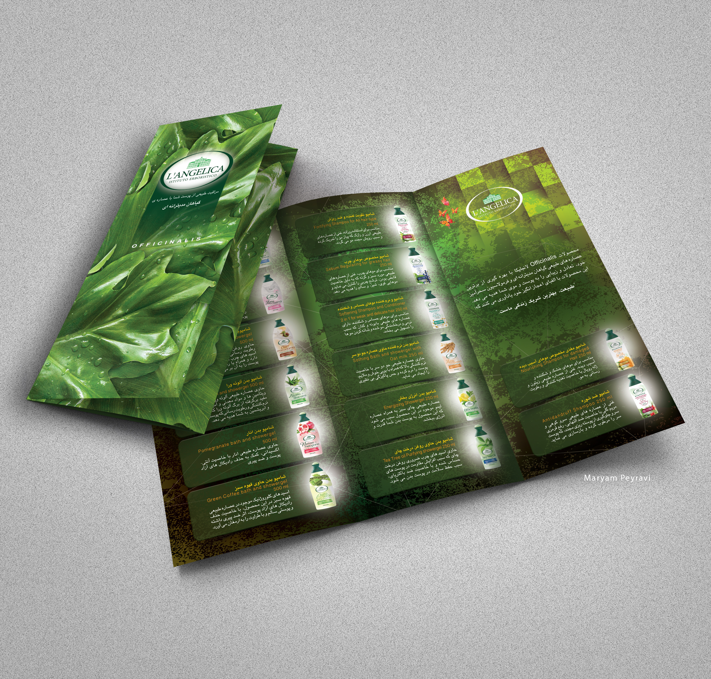 Leaflet Design branding brochure graphic design leaflet maryampeyravi