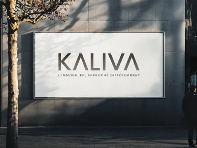 Brand Identity & Visual Design | KALIVA 2d 3d billboard brand branding creative design graphic design icon linework logo mockup print stationary strategic typography