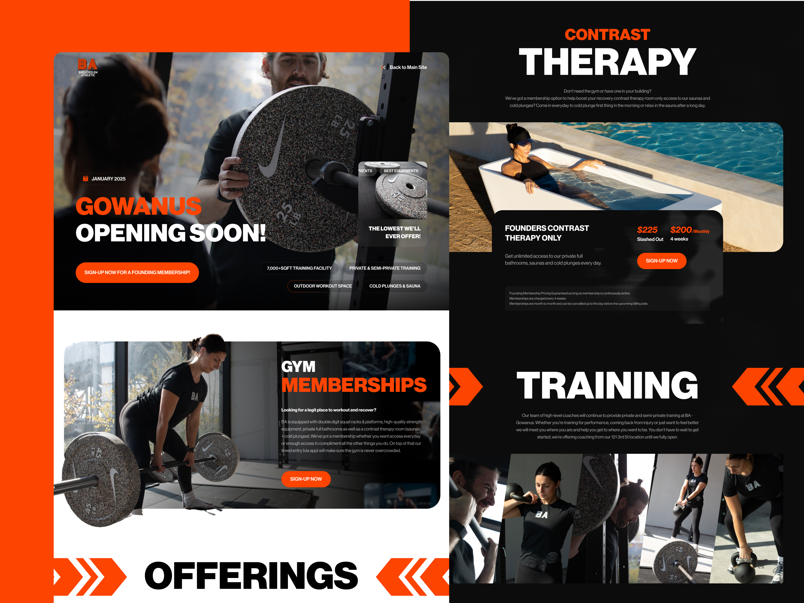 Example of Website Design + Implementation