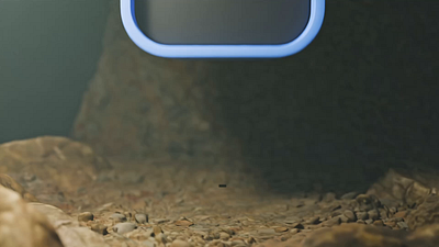 Skillster Icon Animation