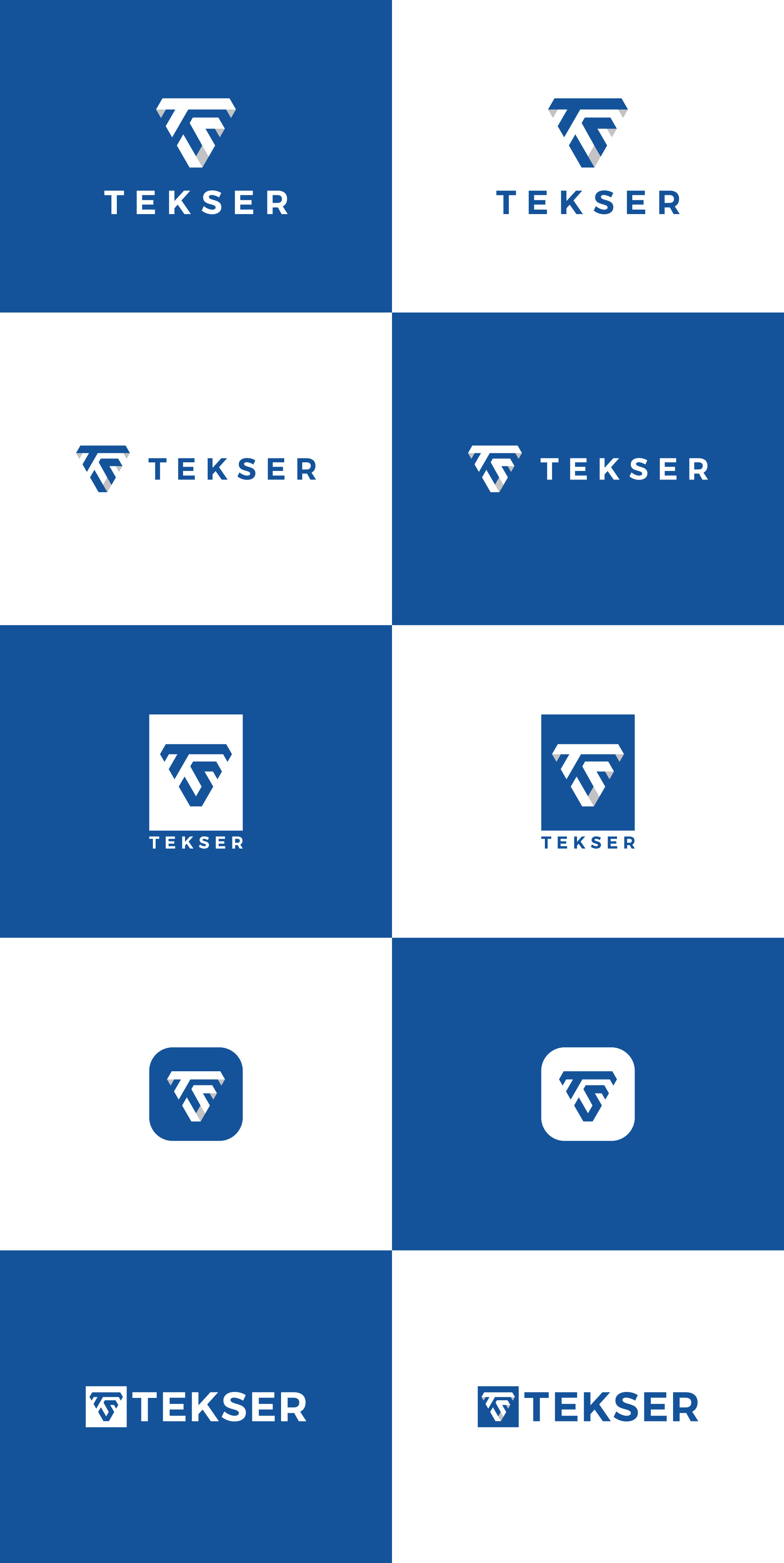 Tekser Logo - MD Hasan Logo Design 3d animation branding graphic design logo motion graphics ui