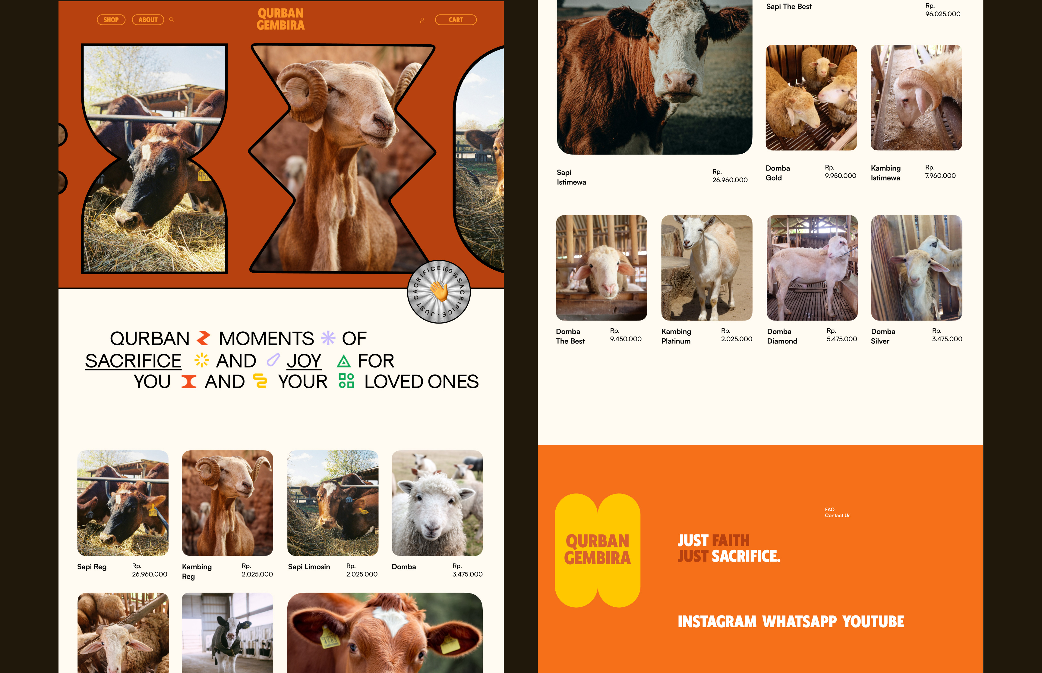 Example of Broken Landing Page Design