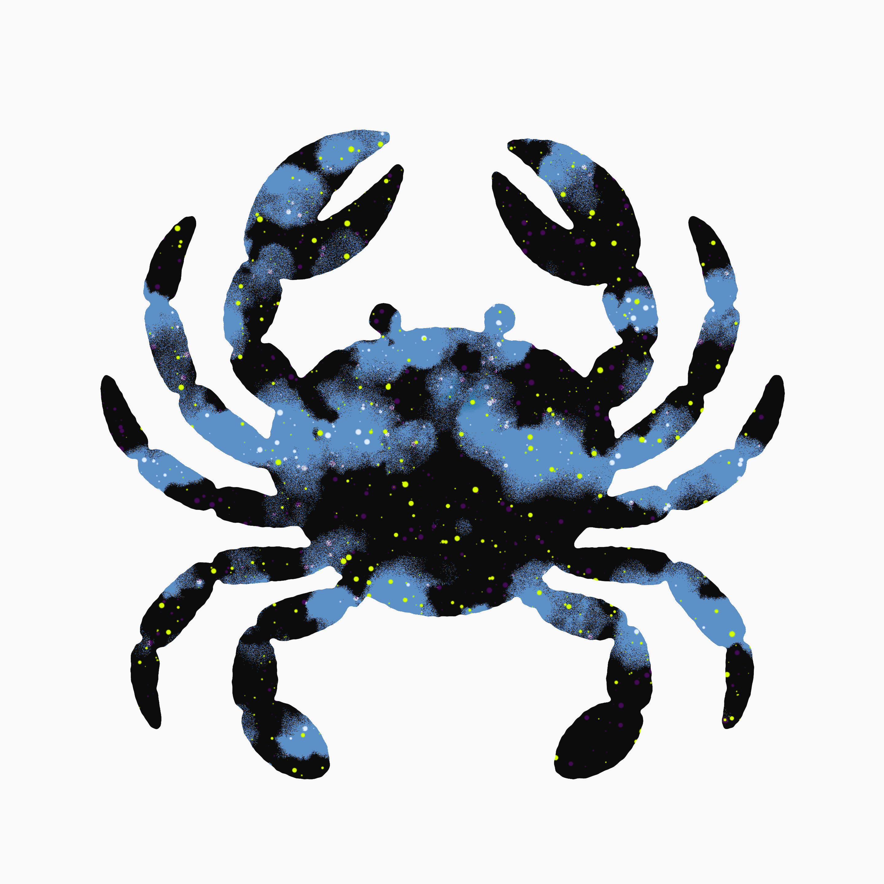 Crab animal blue black crab design graphic design illusration kemal sanli ocean seafood texture