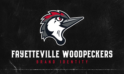 Fayetteville Woodpeckers Brand astros baseball brand brand identity fayetteville logo milb minor league baseball mlb north carolina uniform woodpeckers