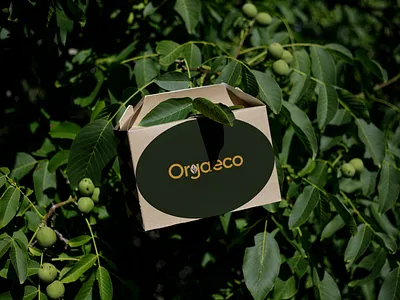 Orgaeco - Brand Identity for Sustainable Fruit Packaging Design brand identity branding eco friendly food fruit packaging graphic design logo design modern branding natural logo organic organic design packaging design print design product design sustainable sustainablity visual design visual identity waxyweb