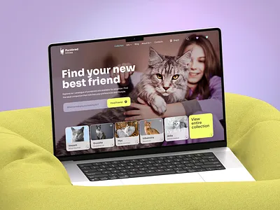 Cat adoption platform cat e commerce figma kitty pet store ui ux website