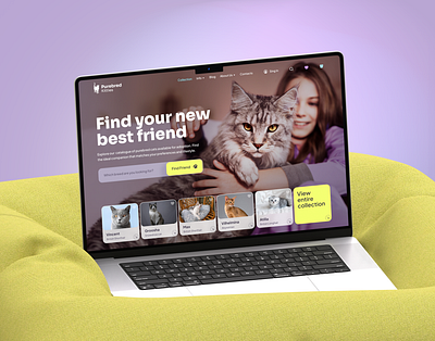 Cat adoption platform cat e commerce figma kitty pet store ui ux website