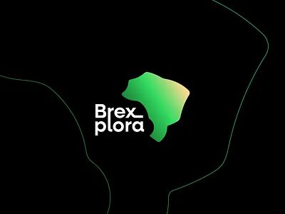 Logo: Brexplora brand branding brasil brazil design graphic design logo map minimalism minimalist