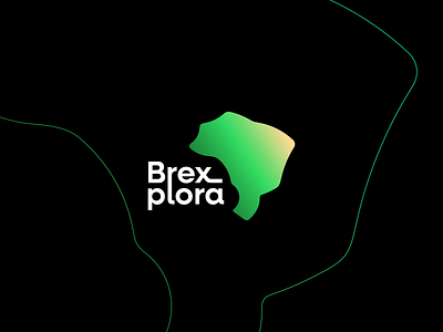 Logo: Brexplora brand branding brasil brazil design graphic design logo map minimalism minimalist