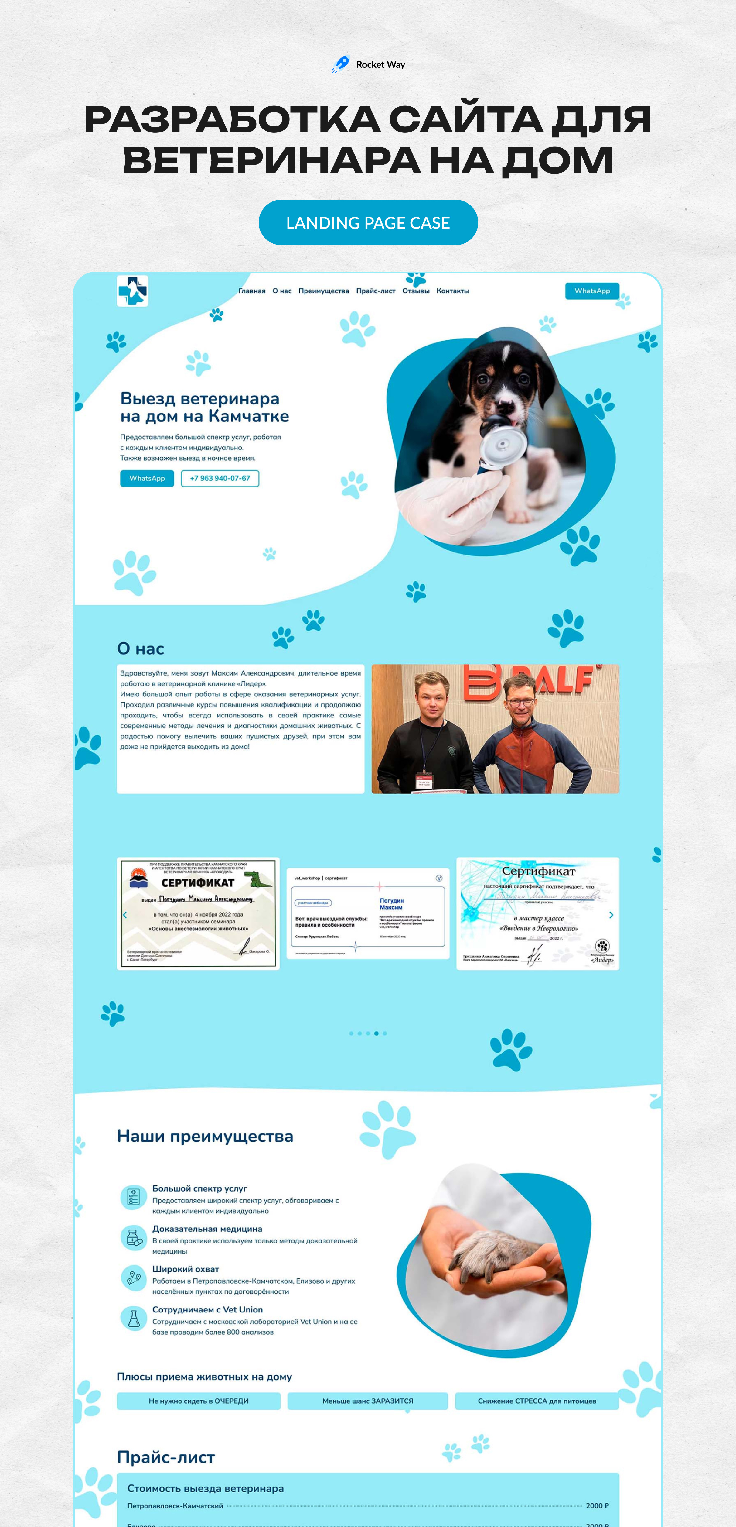 Website development for a veterinarian at home animal design graphic design kamchatka web website веб веб дизайн дизайн камчатка разработка сайт