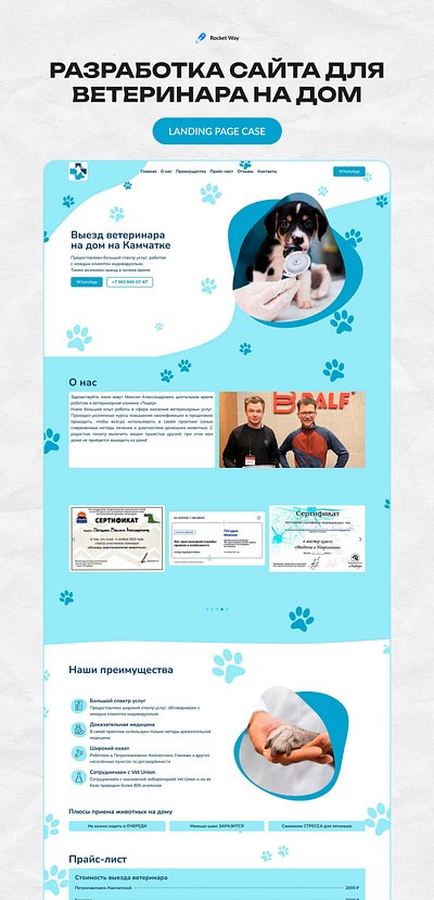 Website development for a veterinarian at home animal design graphic design kamchatka web website веб веб дизайн дизайн камчатка разработка сайт