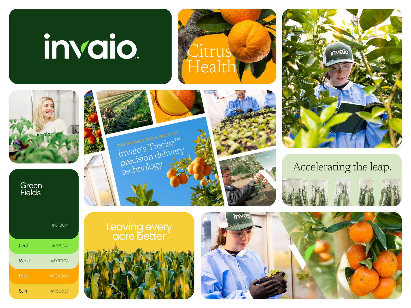 Invaio Sciences | Biotechnology branding graphic design illustration motion graphics social media marketing social media planning video editing video production website design