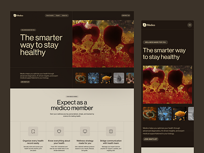 Healthcare Website Design design health health care health tech healthcare healthcare landingpage healthcare website landing page medical mental health ui web web design webdesign website wellbeing
