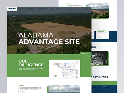 NEAR Megasite design ui ux website