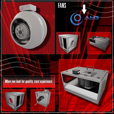 Fans 3d branding graphic design