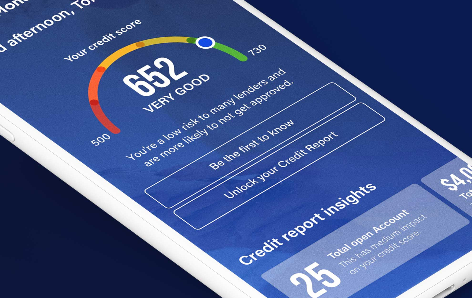 MoneyCoach mobile app ui
