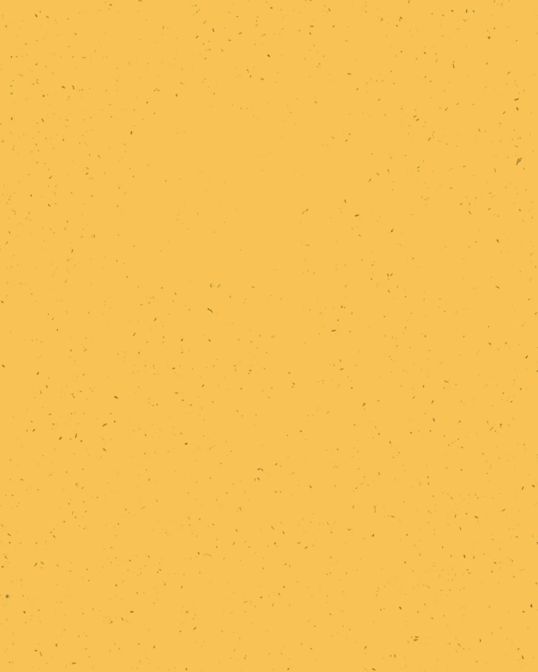 Example of Branded Content Packs — Motion & Static