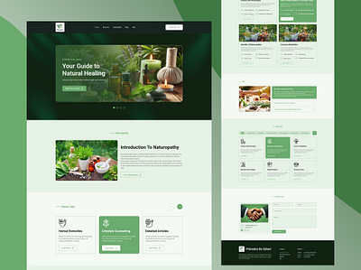 NATUROPATHY HEALTH CARE adobe xd figma graphic design ui uiux designe user user interface web design website