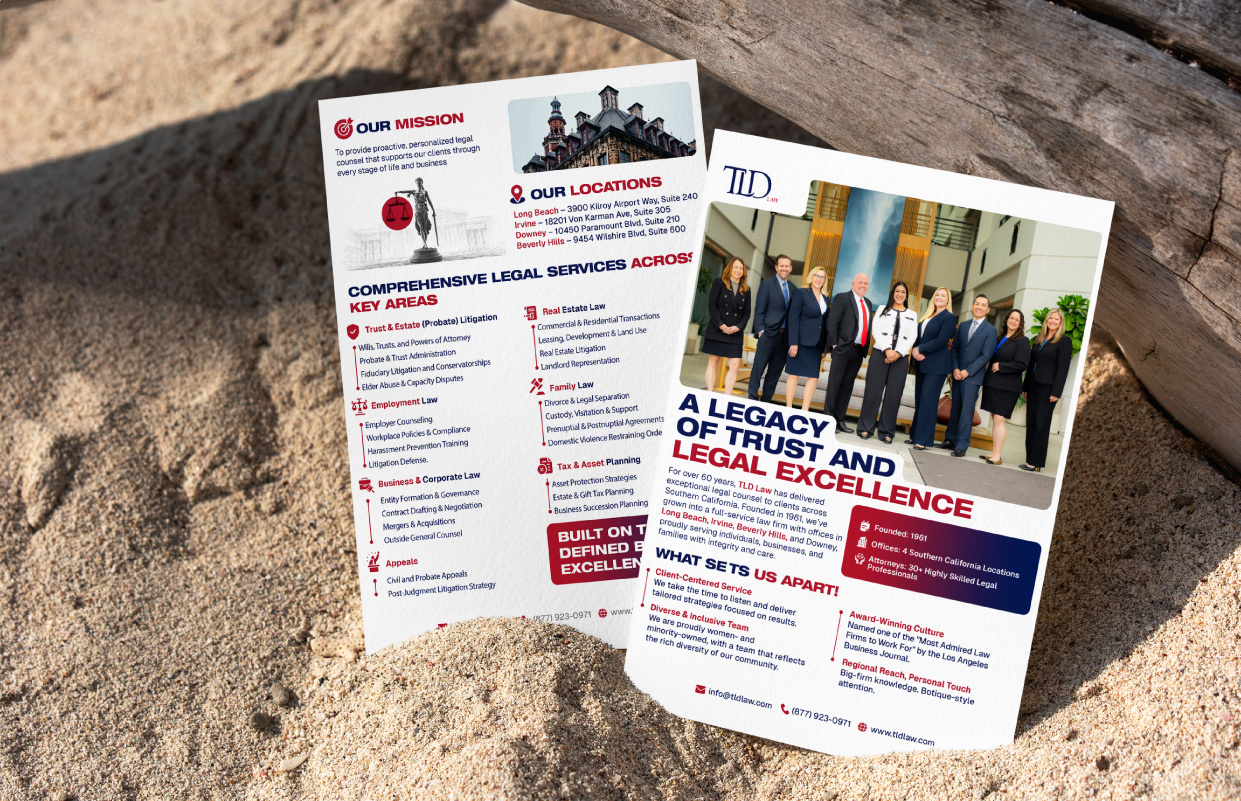 TLD Flyer Design adobe photoshop branding design flyer design graphic design illustration landing page logo tld law vector web design