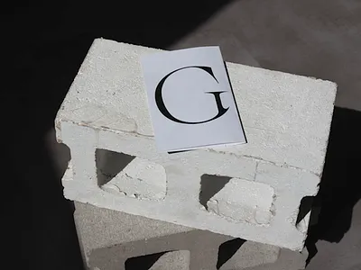 Vestige Typeface Collection — Specimen & Poster artdirection brandidentity customtype displaytype editorialdesign fashiondesign font foundry graphicdesign photography serif typecollection typedesign typeface typeinuse typography