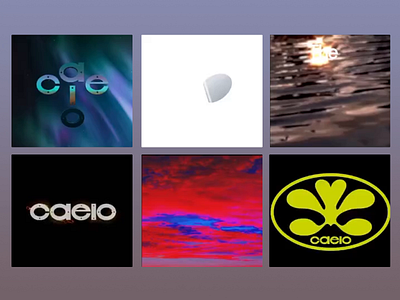 Glitch Bloom Visual Capsule abstract motion color explosion digital bloom digital surrealism distorted type dream logic experimental media fragmented visuals generative visuals glitch art glitch patterns kinetic art motion distortion surreal texture text animation vaporwave vibes video texture visual identity visual loops