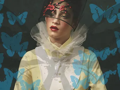 Butterflies design graphic design illustration vector