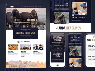 ABBA Association Web Design association web design web design
