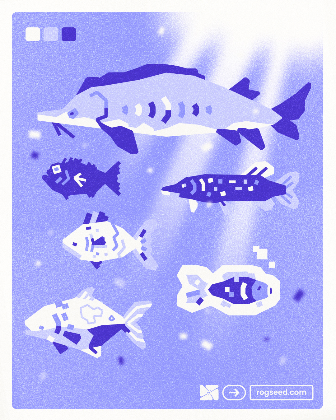 Do not be the full Fish of April first animation april blue editorial event fish graphic design illustration motion graphics