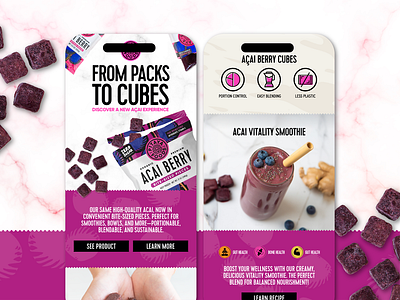 Email Design for Smoothie Brand acai email food fruit health klayvio purple snack spg