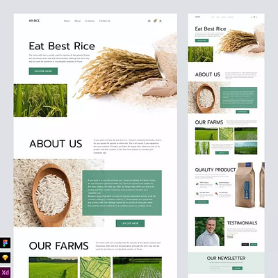 Designing the Perfect Rice design