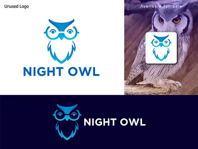 Night Owl Logo Design animallover brand identity branding geometricart graphic design illustration logo logo design marketing logo minimaldesign modern logo night owl logo nocturnal owl logo owllogo starup logo symbolism vector visualidentity