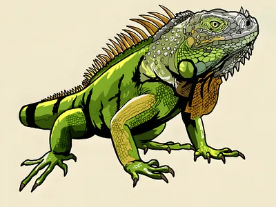 Educational Artistry for Spot On Tutoring adobe creative suite graphic design illustration motion graphics