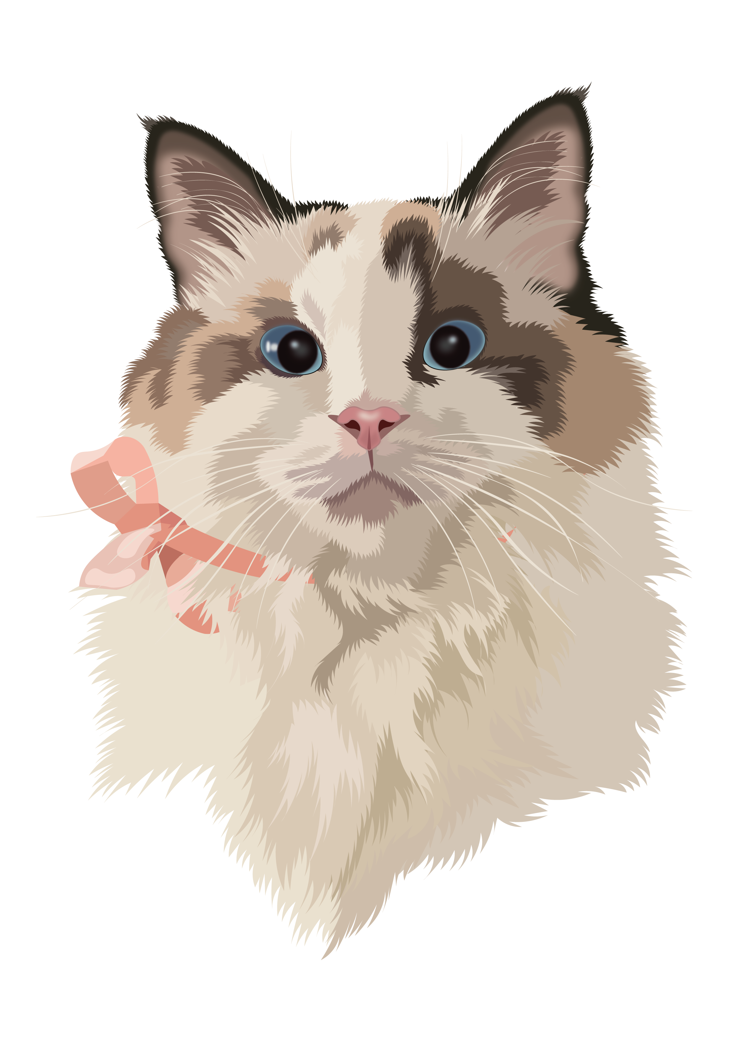 Pixie art cat catart digitalart illustration portrait vector