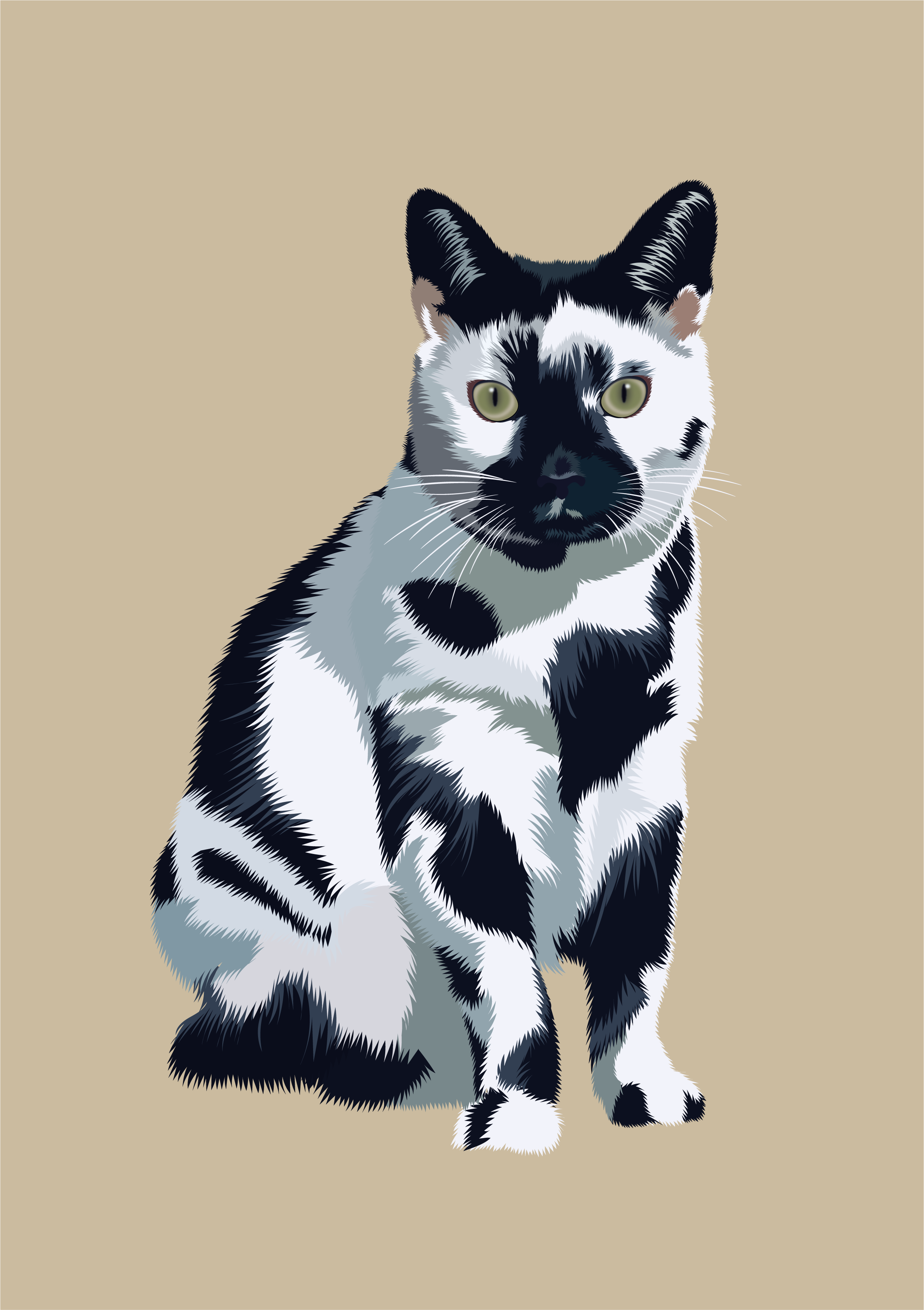 black and white cat art cat catart digitalart graphic design illustration portrait vector