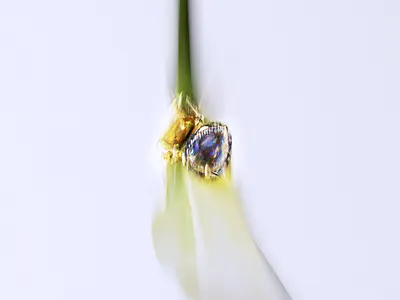 Ring .004 3d 3d artist 3d designer c4d cinema 4d design jewellery octane render