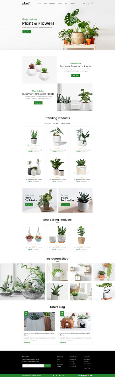 Plant & Flowers - Botanical E-commerce Website UI botanicalui cleandesign ecommercedesign floraldesign greendesign homedecorshop interiorplants landingpagedesign minimalui natureinspired plantshop uiux uxinspo webdesign