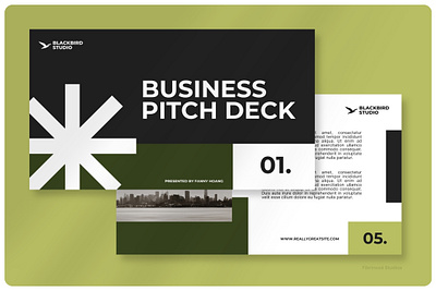 Black Bird Pitch Deck Presentation Template template