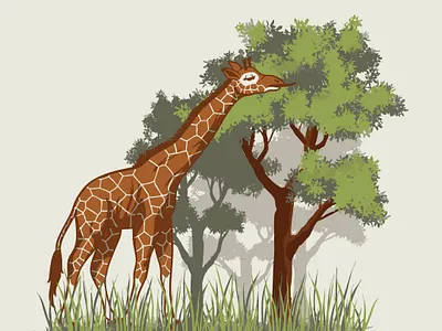 Giraffe illustration