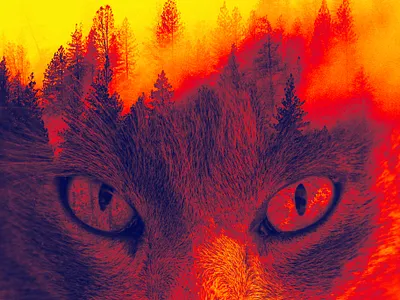 Double Exposer Effect Created with Adobe Photoshop adobe photoshop double exposure effect graphic design photo editing photo manipulation