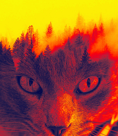 Double Exposer Effect Created with Adobe Photoshop adobe photoshop double exposure effect graphic design photo editing photo manipulation