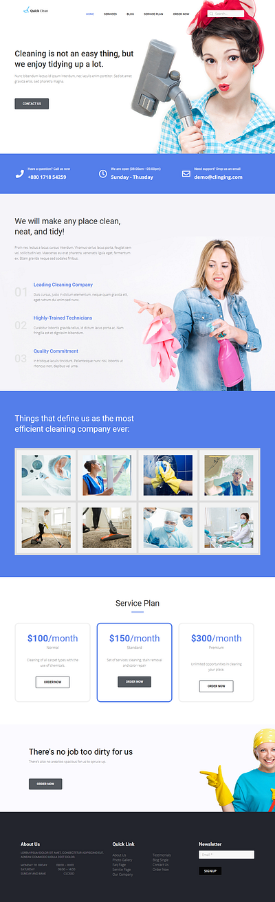Professional Cleaning Service Website Design cleaning services website web design