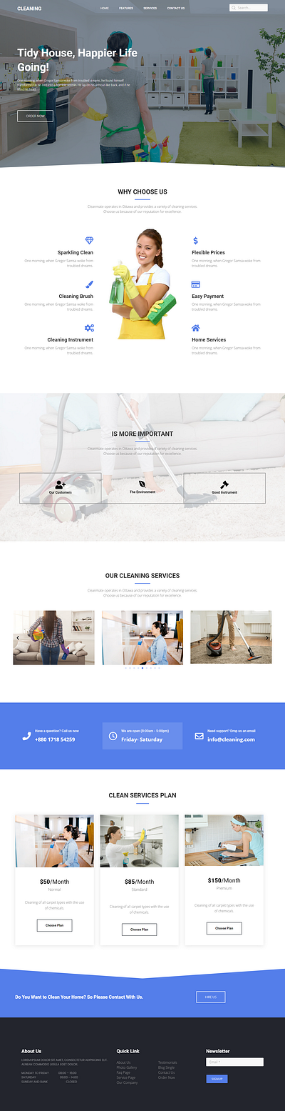 Professional Cleaning Service WordPress Website Landing Page cleaning cleaning services website cleaning website design cleaning wordpress website home cleaning services website