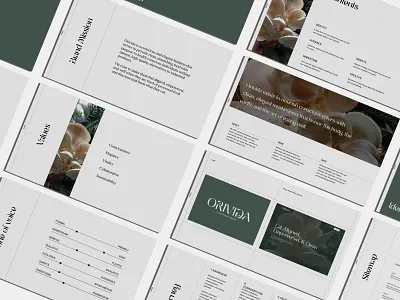 Orivida branding design logo typography ui