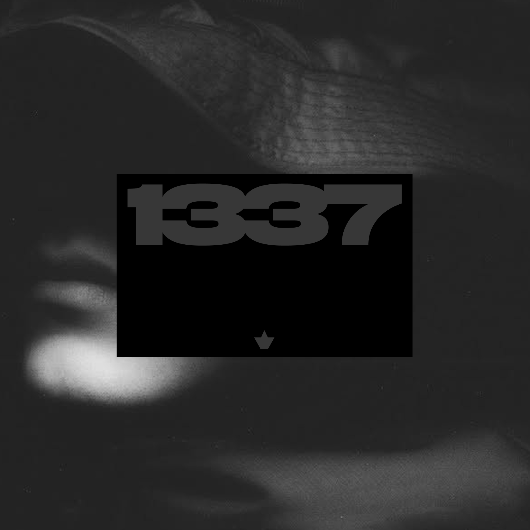 1337 1337 animation branding concept design graphic design icon logo typography ui ux vector web