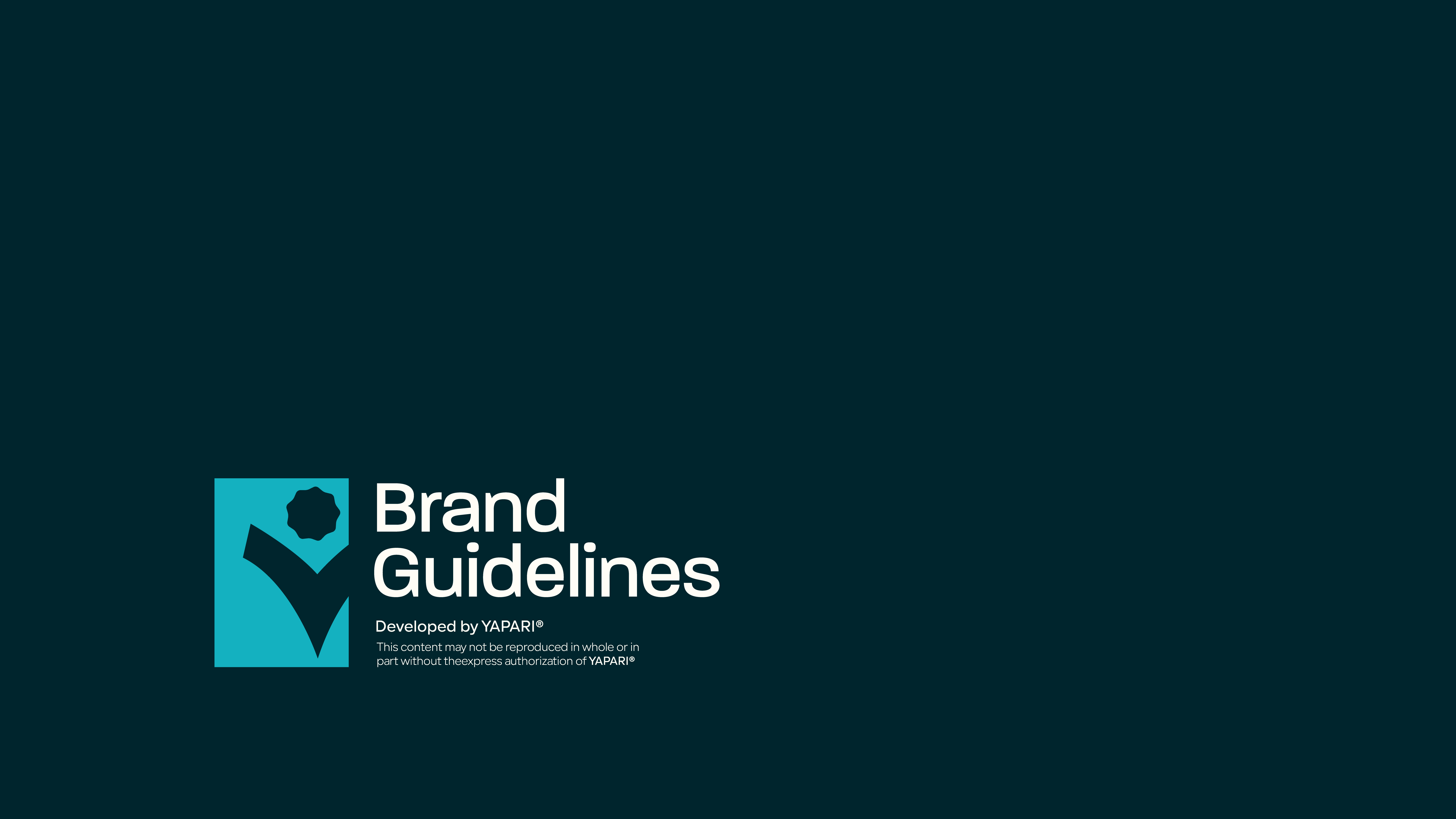 Fundación ProFuturo ⏤ Brand Guidelines branding logo