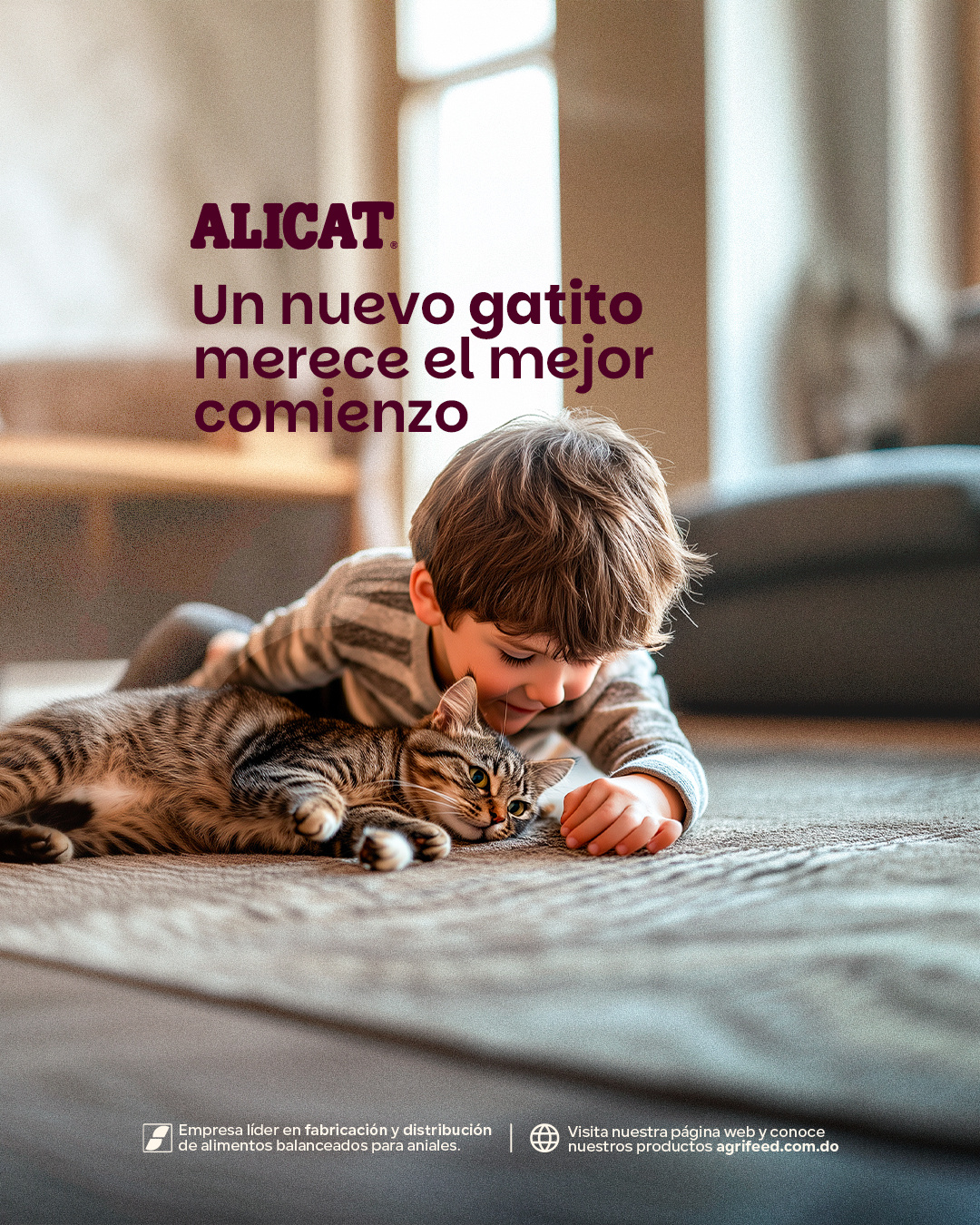 ALICAT ⏤ Social Network Design graphic design social